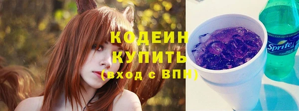 соль ск Козловка