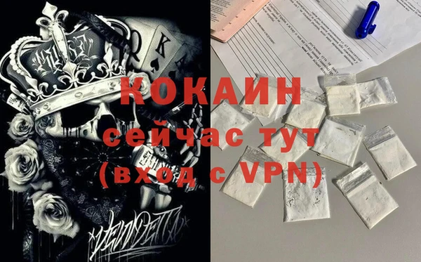 соль ск Козловка
