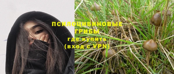 соль ск Козловка