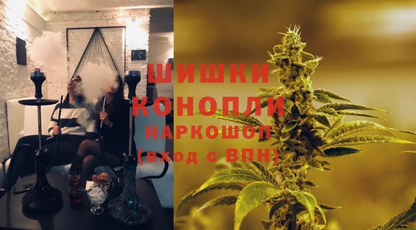 соль ск Козловка