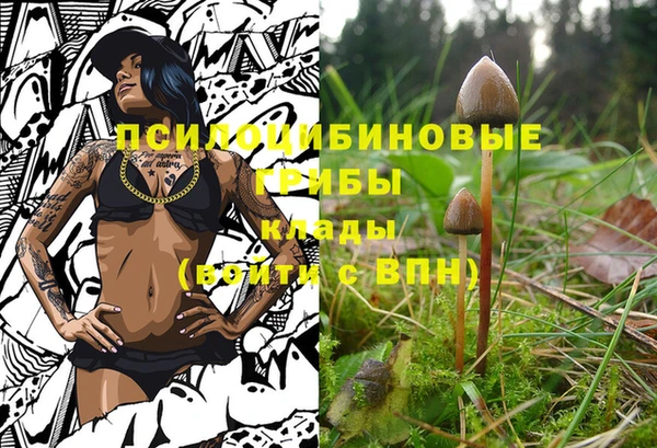 соль ск Козловка