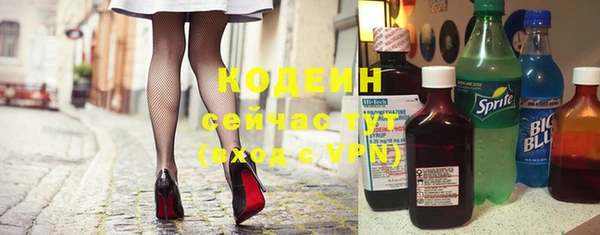 соль ск Козловка