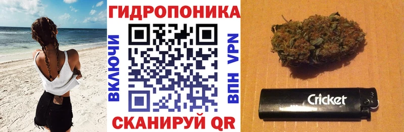 Купить  Кандалакша  Каннабис сатива 